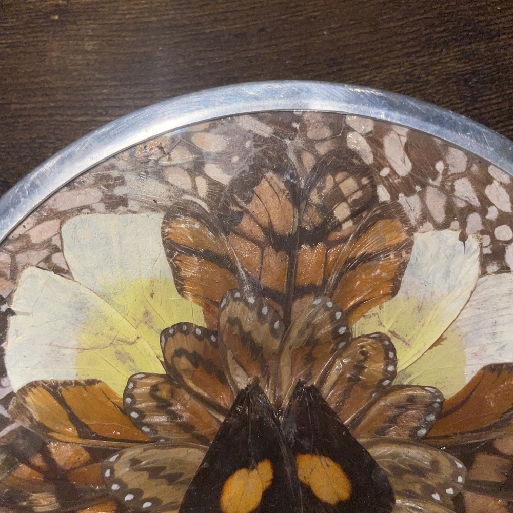Vintage Butterfly Wing Art Trinket Dish Made In Brazil Wall Art Brown Orange - Picture 9 of 9